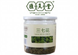 三七花