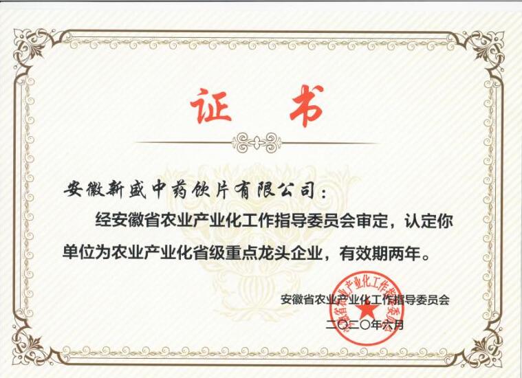 公司荣誉